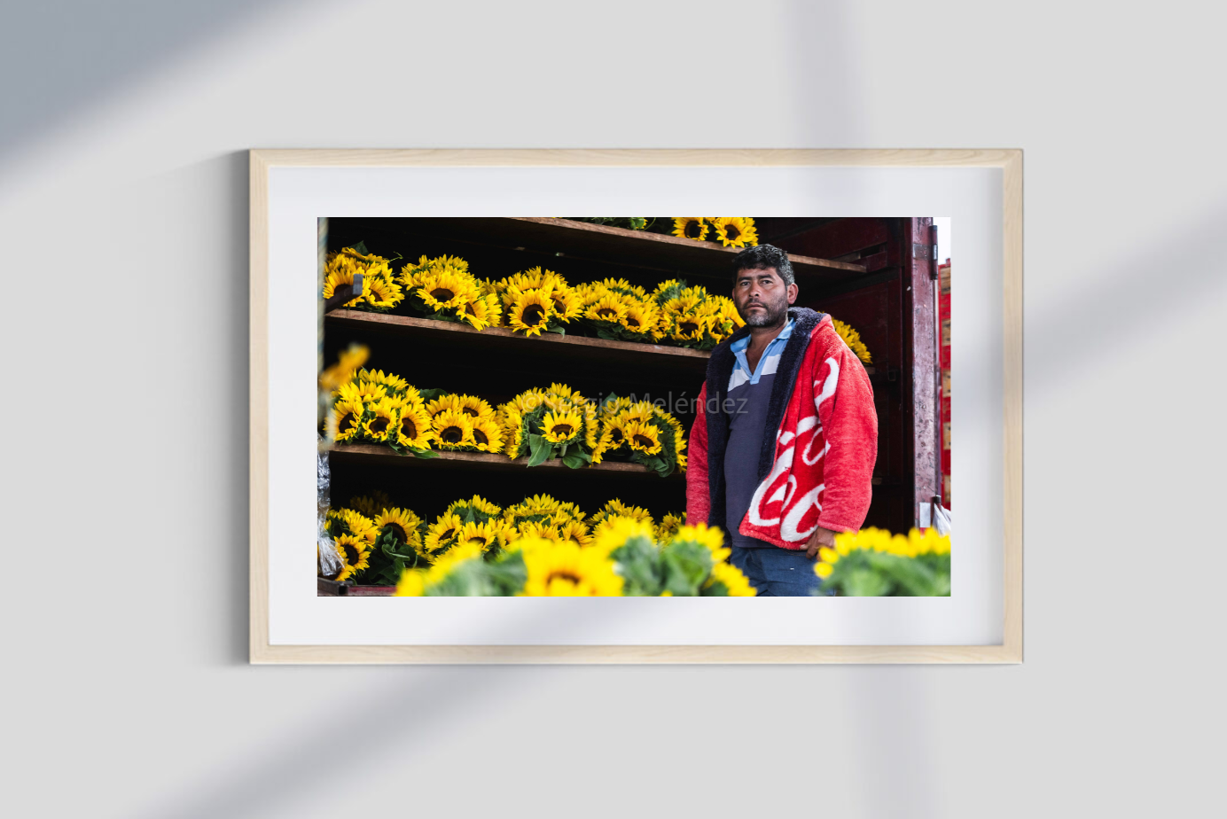 "Flores de lucha / Flowers of Resistance"