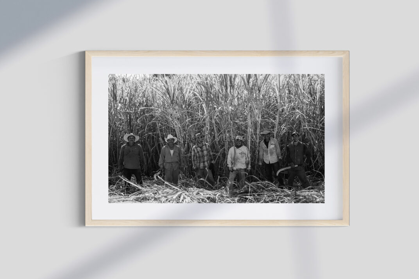 "Guardianes del Campo / Guardians of the Field"