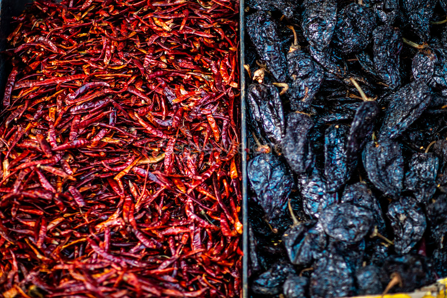 "El sabor de México / The Flavor of Mexico"