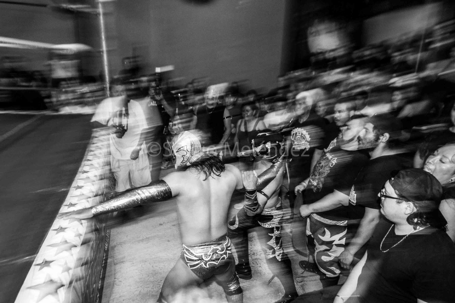 Pulso Colectivo / Collective Pulse