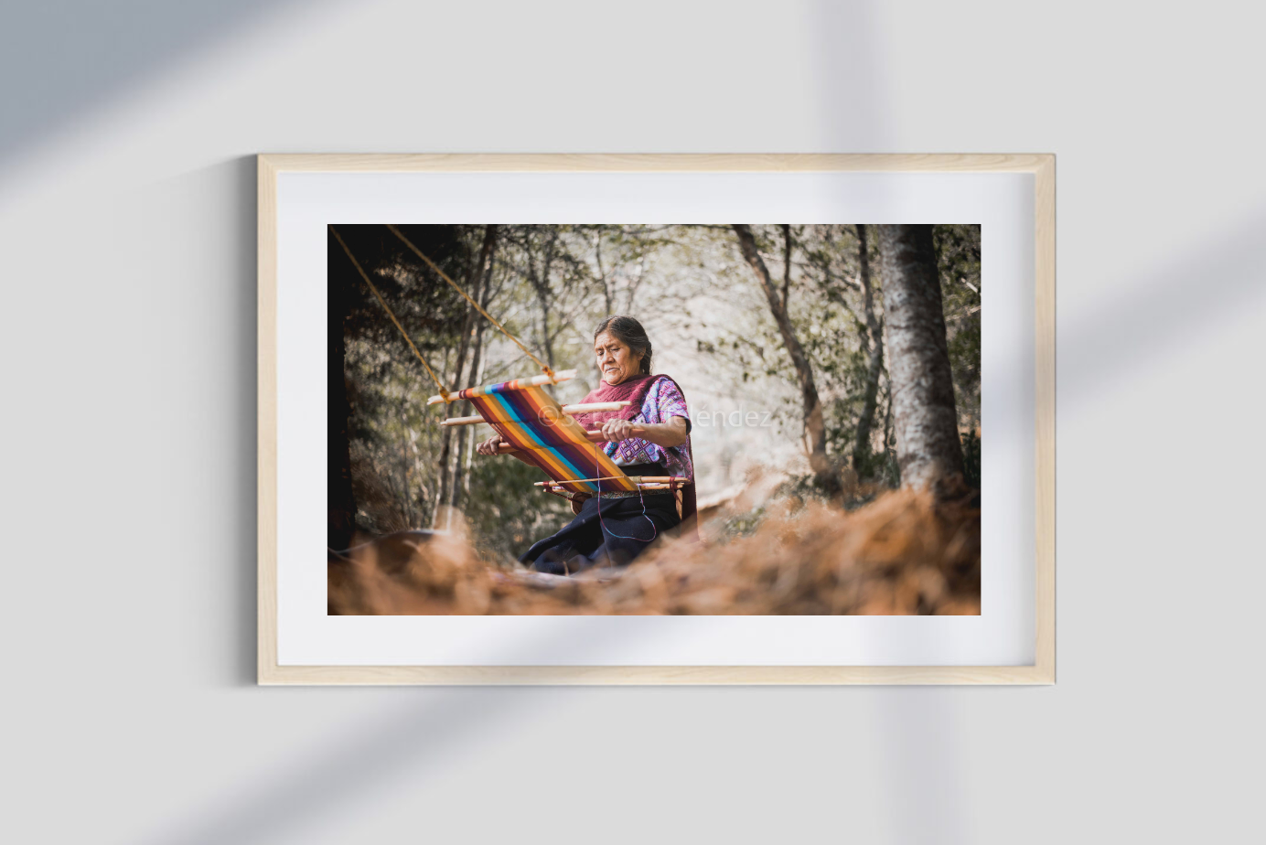 "Entre Hilos y Raíces / Between Threads and Roots"