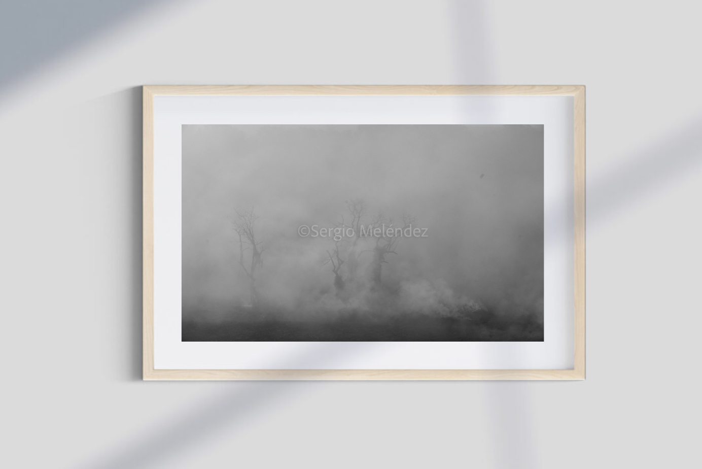 "Fantasmas del Campo / Ghosts of the Field"