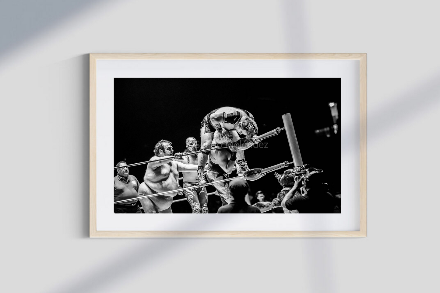 "Los Rudos, Los Rudos, Los Rudos"