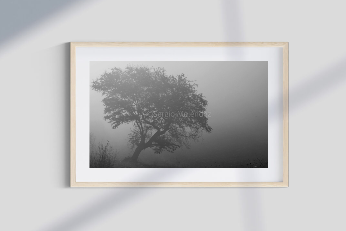 "Después del fuego / After the Fire"