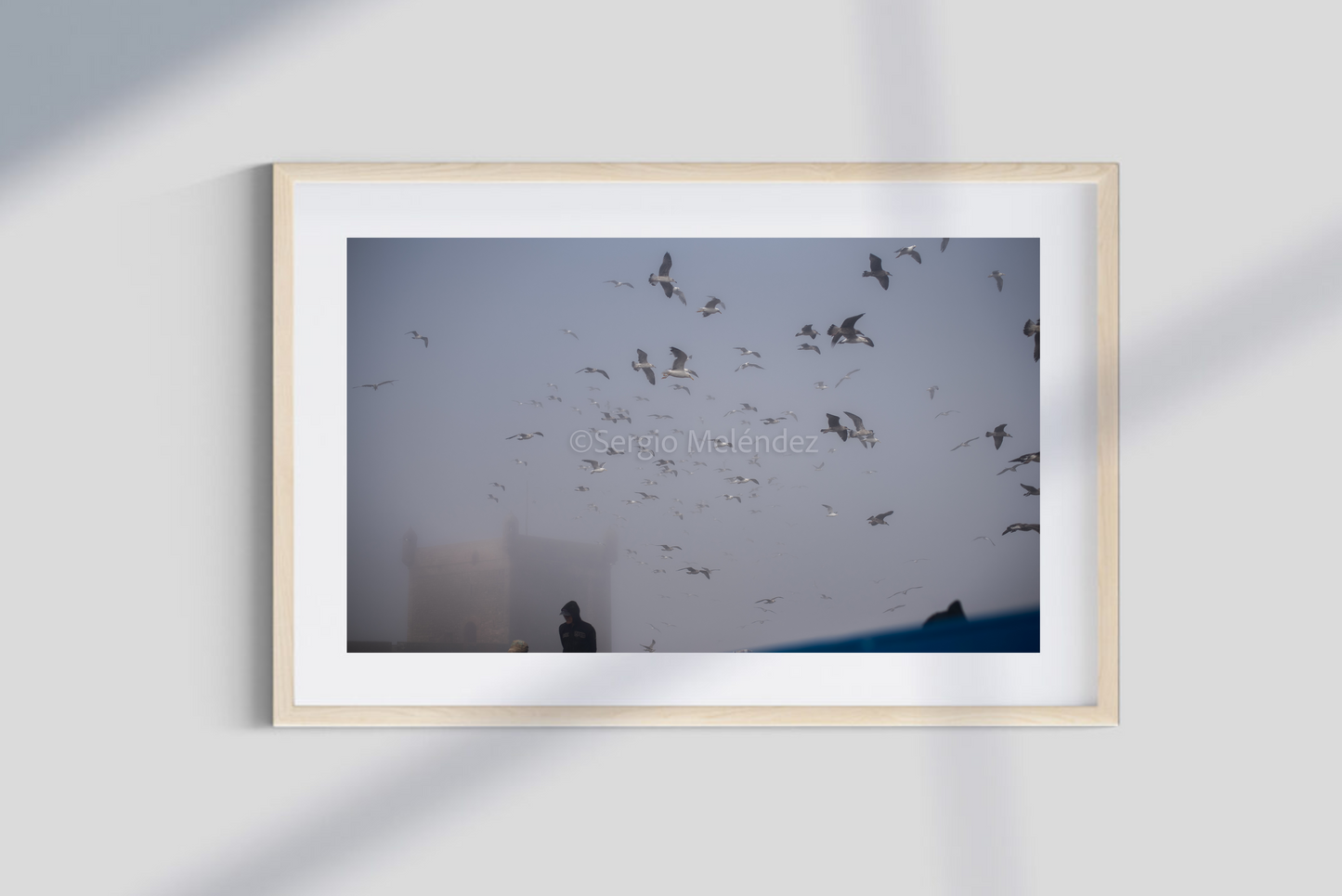 "Hombres Pájaro / Bird Men"