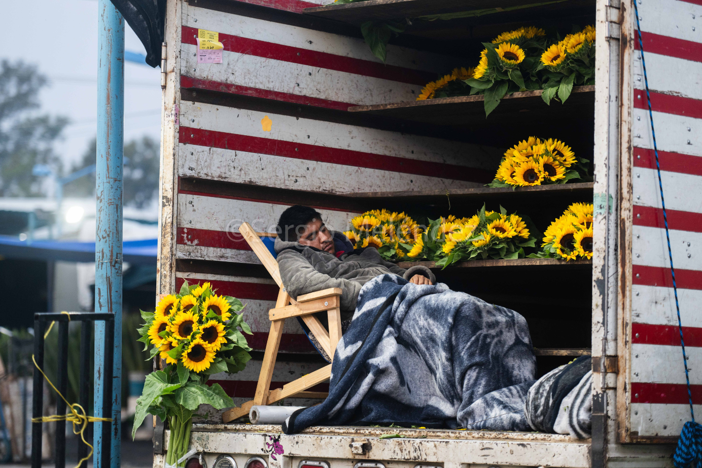 "El Descanso de las Flores / The Rest of the Flowers"