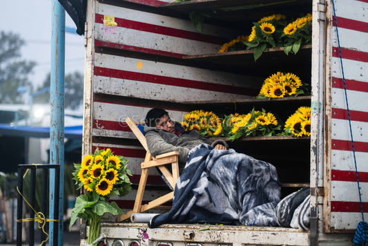 "El Descanso de las Flores / The Rest of the Flowers"