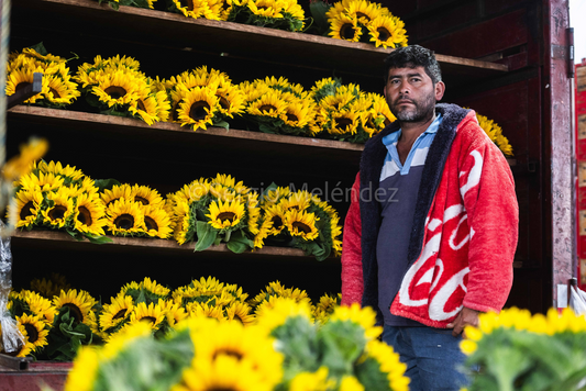 "Flores de lucha / Flowers of Resistance"