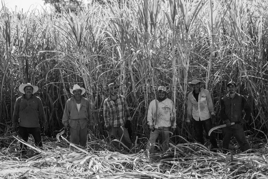 "Guardianes del Campo / Guardians of the Field"