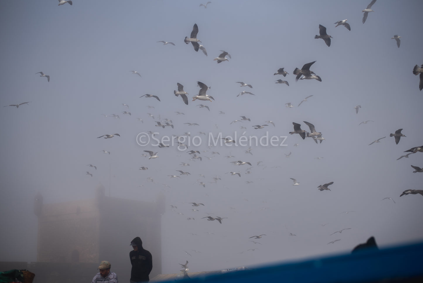 "Hombres Pájaro / Bird Men"