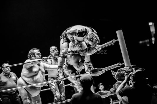 "Los Rudos, Los Rudos, Los Rudos"