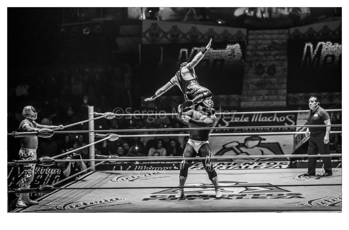 Vuelo Sagrado / Sacred Flight